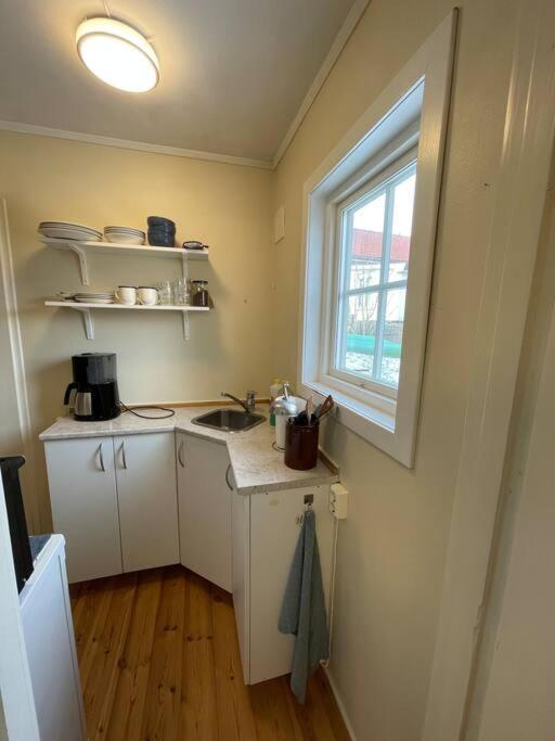 Apartament With Access To Garden, Central, Quiet And With Free Parking Fredrikstad Extérieur photo