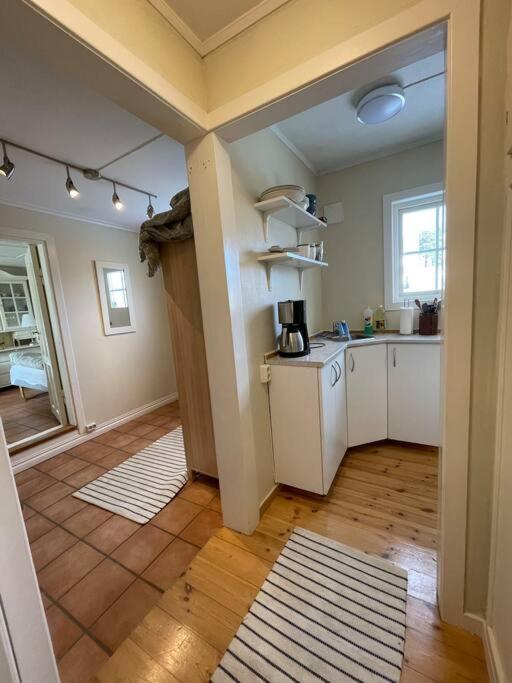 Apartament With Access To Garden, Central, Quiet And With Free Parking Fredrikstad Extérieur photo